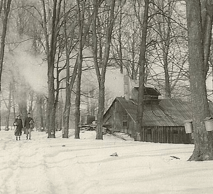 140 Years of Maple: The Story of Parker Family Maple Farm - The Maple Shop