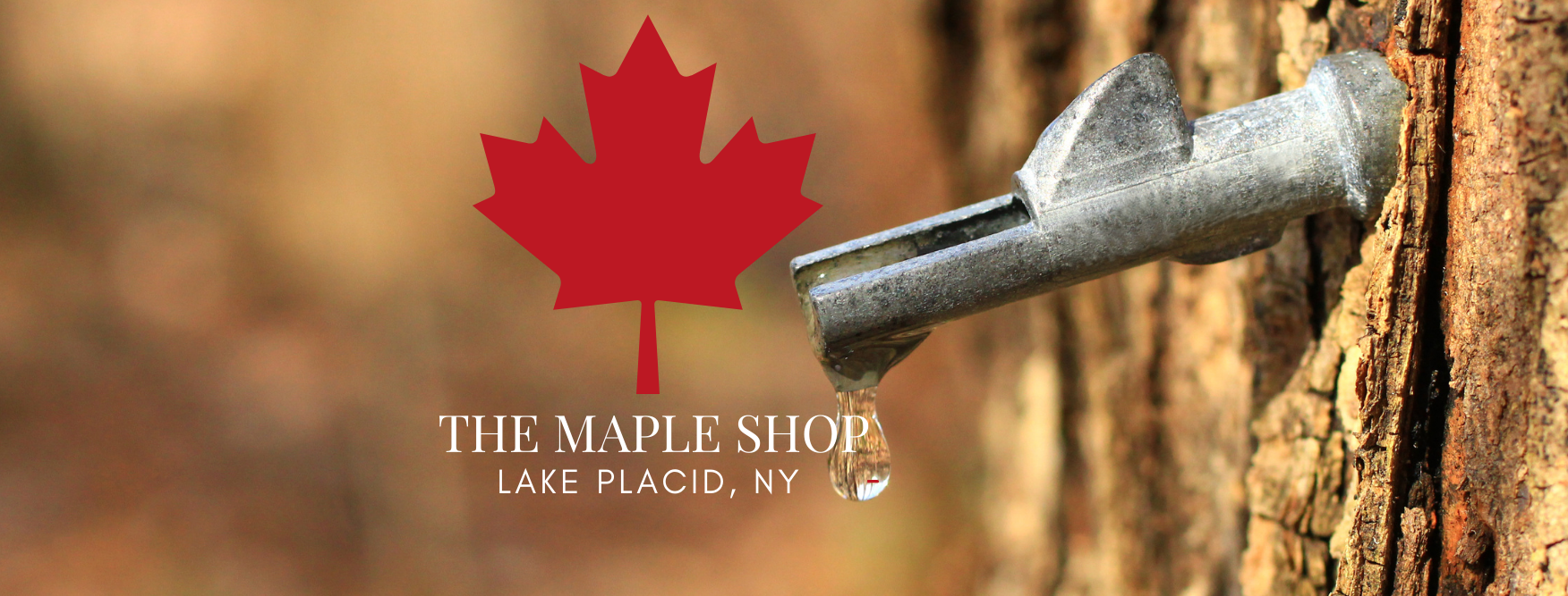 Maple syrup tap in a tree with a red maple leaf logo and 'The Maple Shop Lake Placid, NY' text.